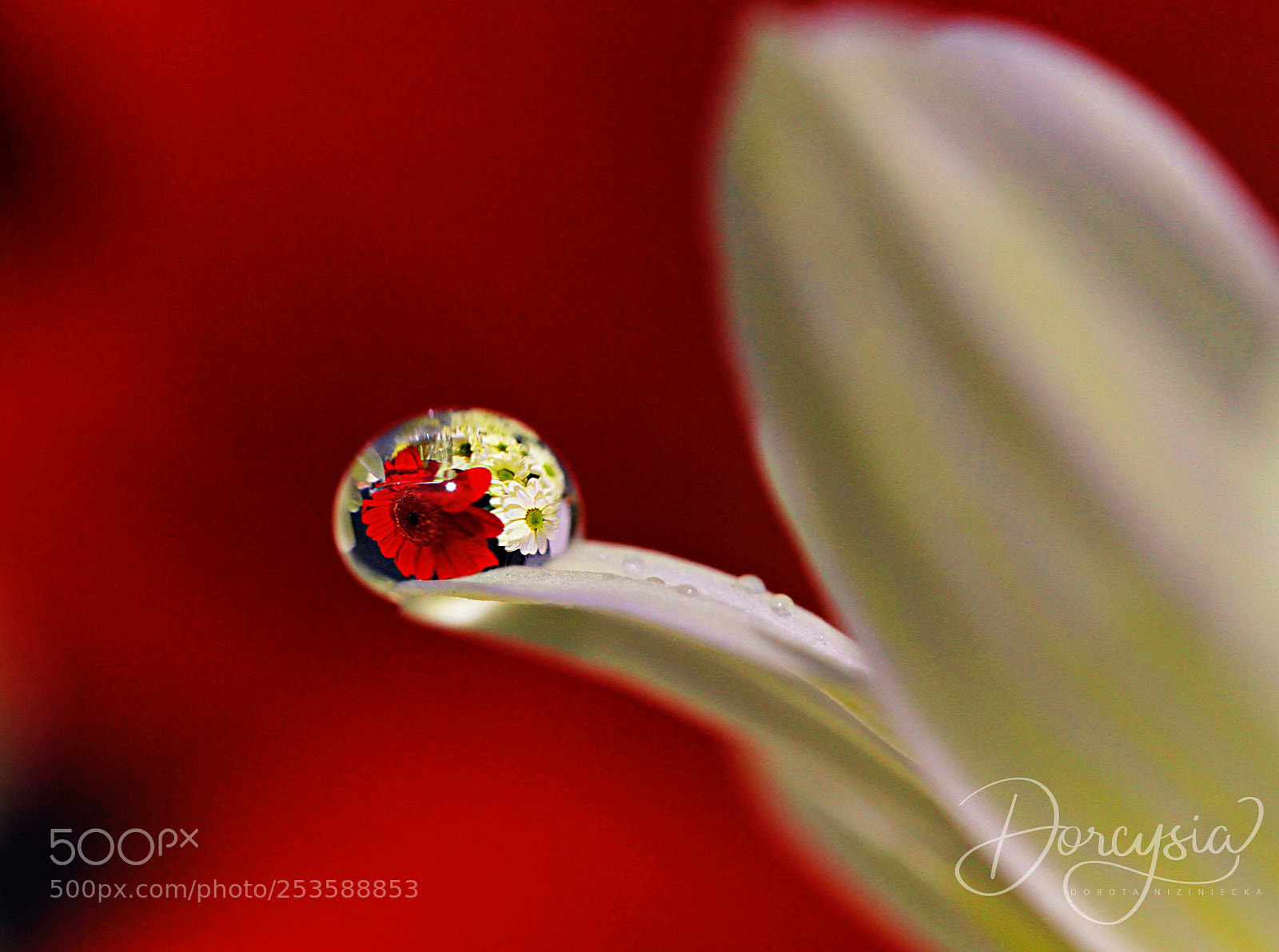 Canon EOS 7D sample photo. Never give up your photography