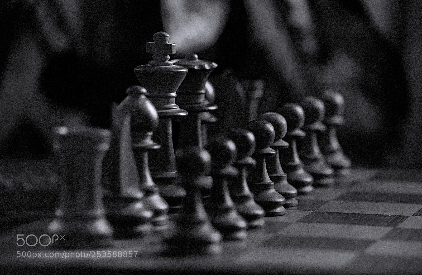 Nikon D5100 sample photo. Chess pieces photography