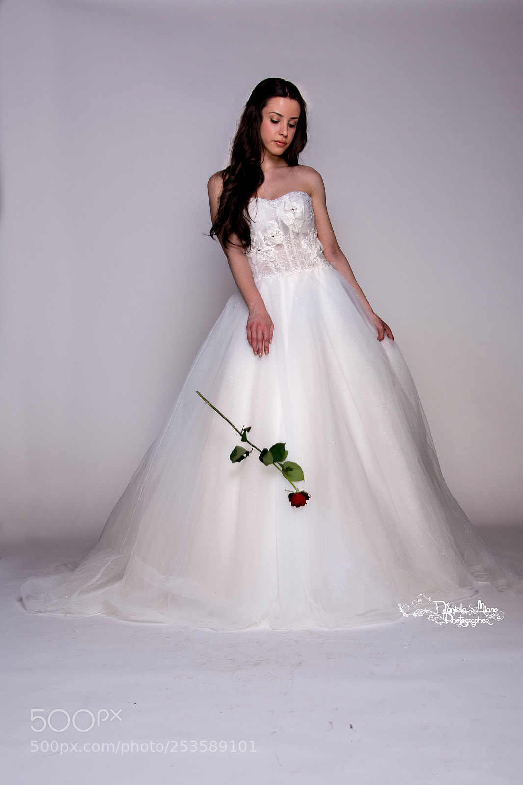 Nikon D5200 sample photo. Falling rose photography