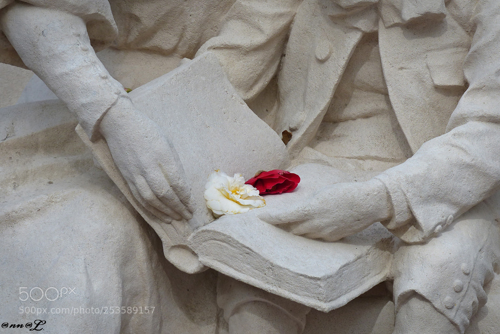 Panasonic Lumix DMC-FZ200 sample photo. Statue j. verne d photography