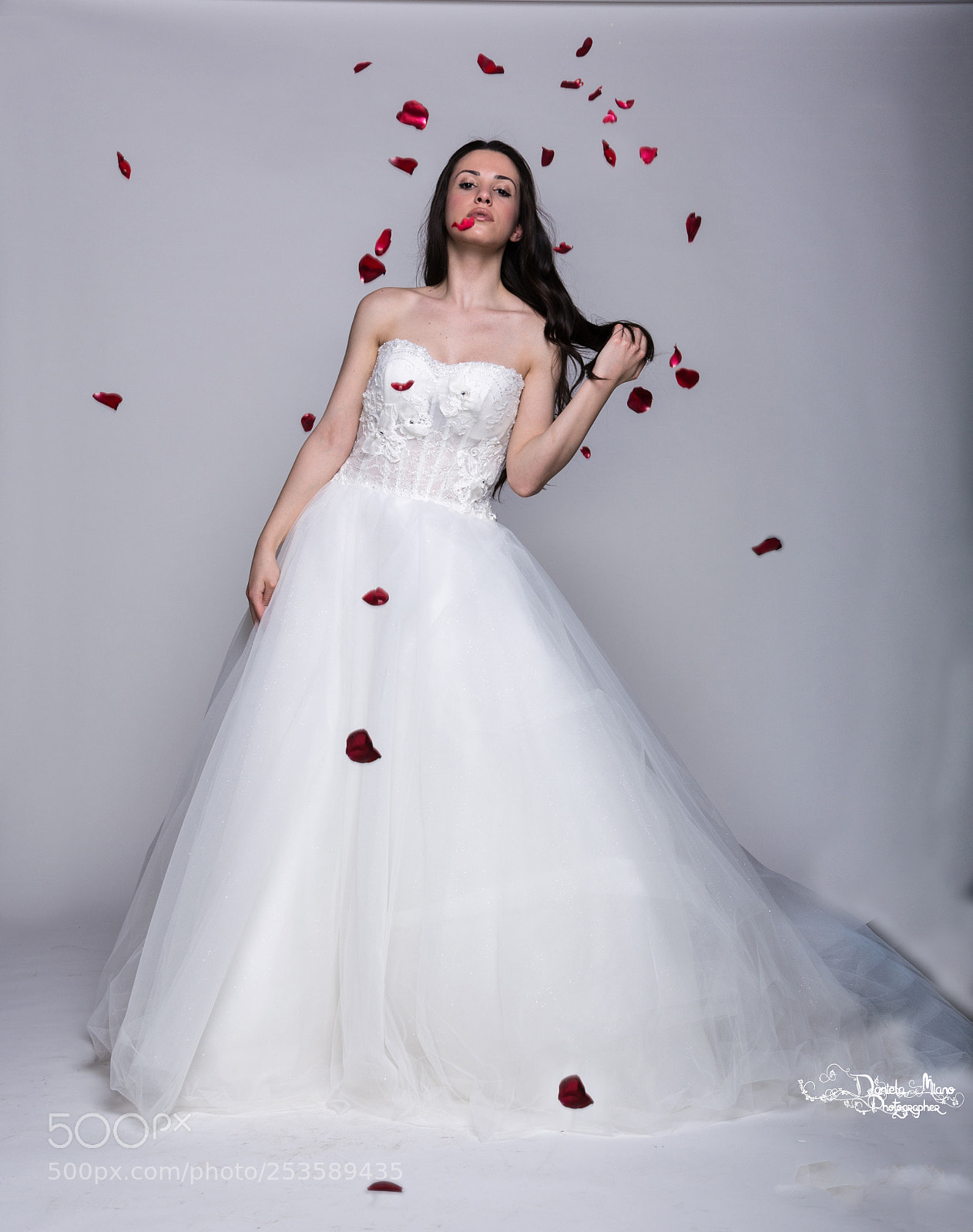 Nikon D5200 sample photo. Petals photography