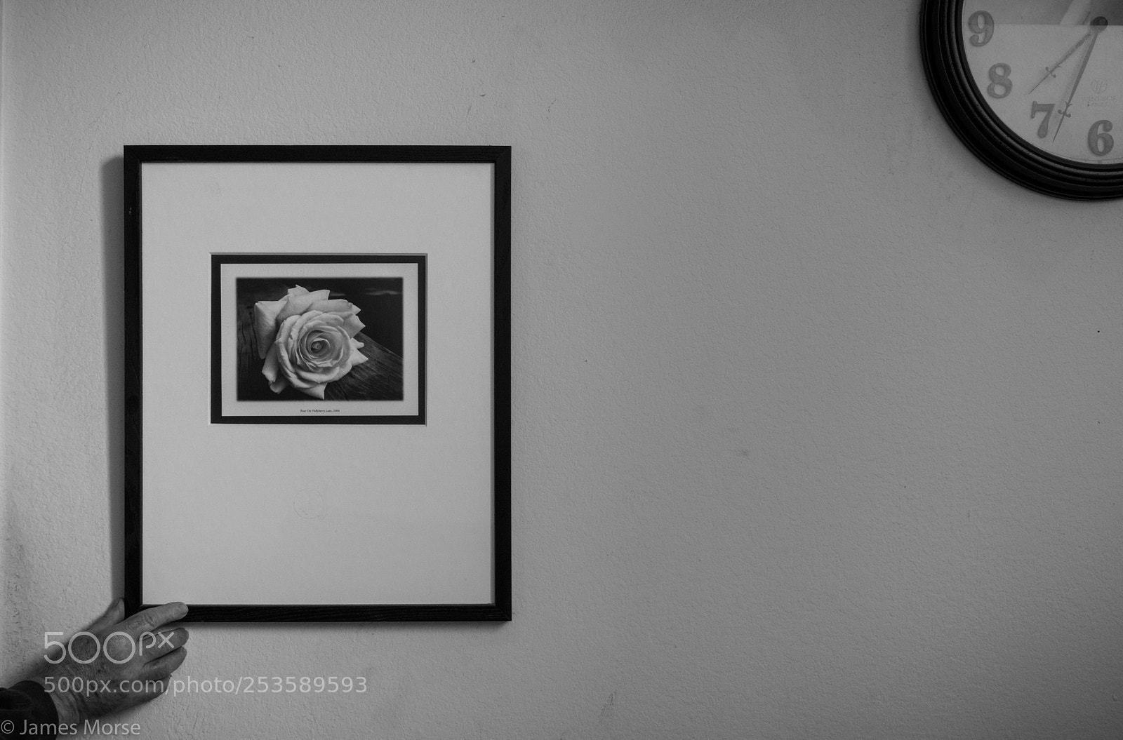Nikon D3300 sample photo. Fifteen photography