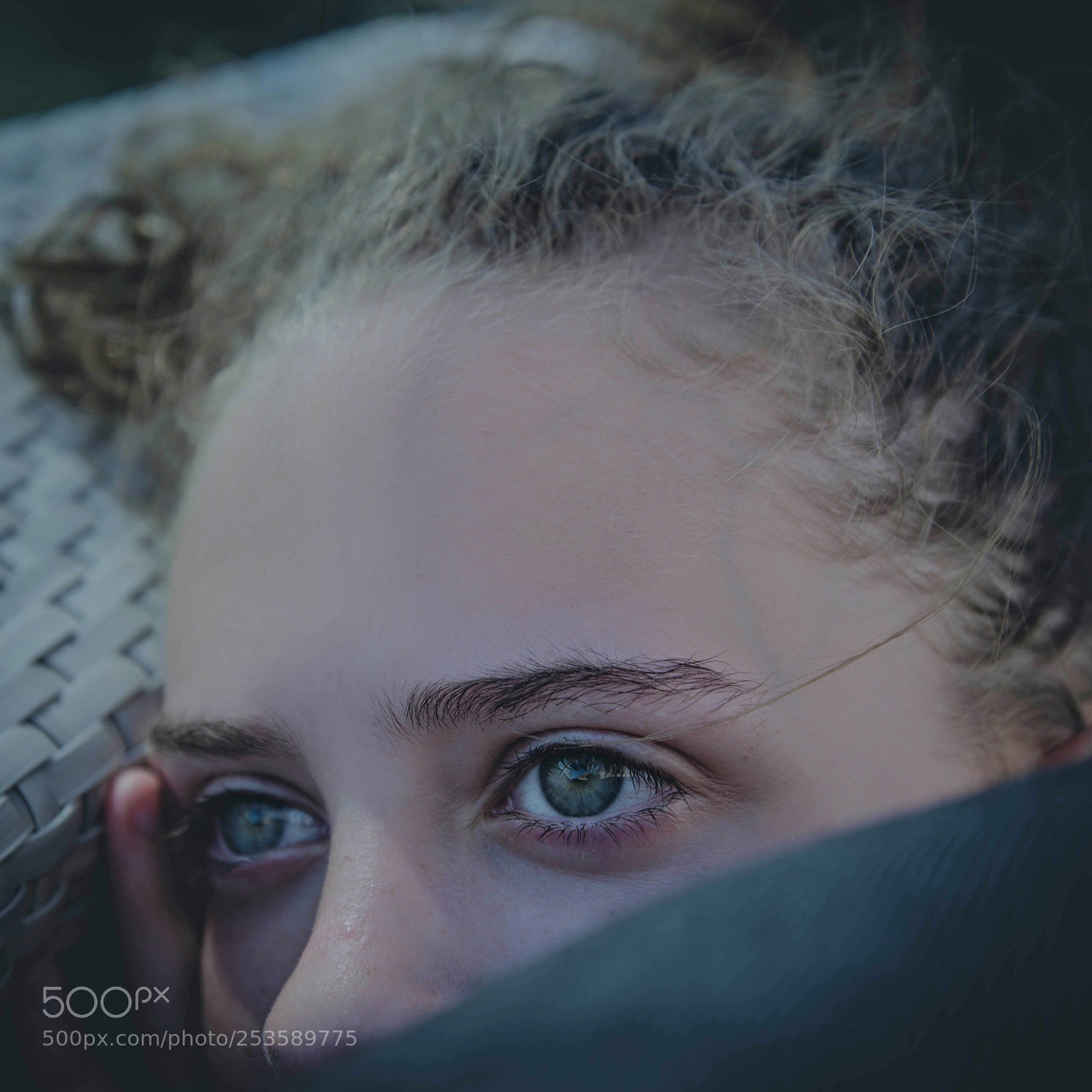 Nikon D610 sample photo. Green photography