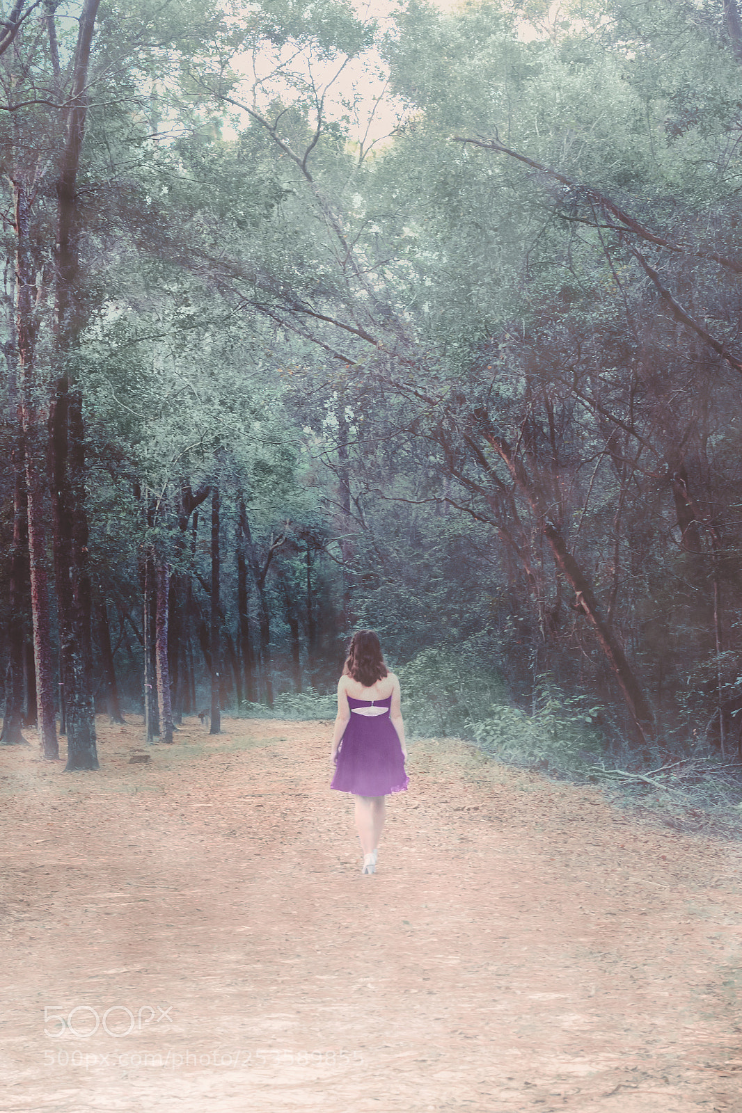 Canon EOS 5D Mark II sample photo. Taller than the trees photography