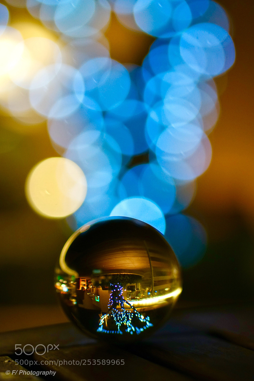 Sony a6300 sample photo. Tree of lights photography