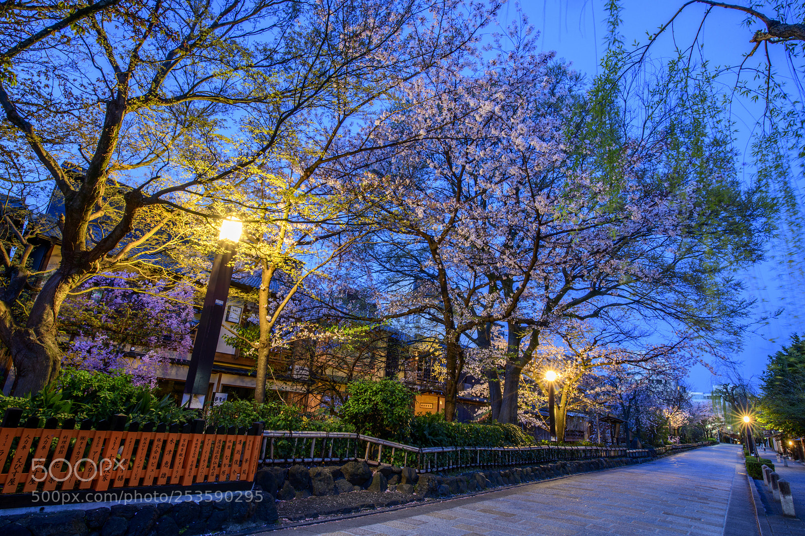 Nikon D850 sample photo. Twlight of gion kyoto photography