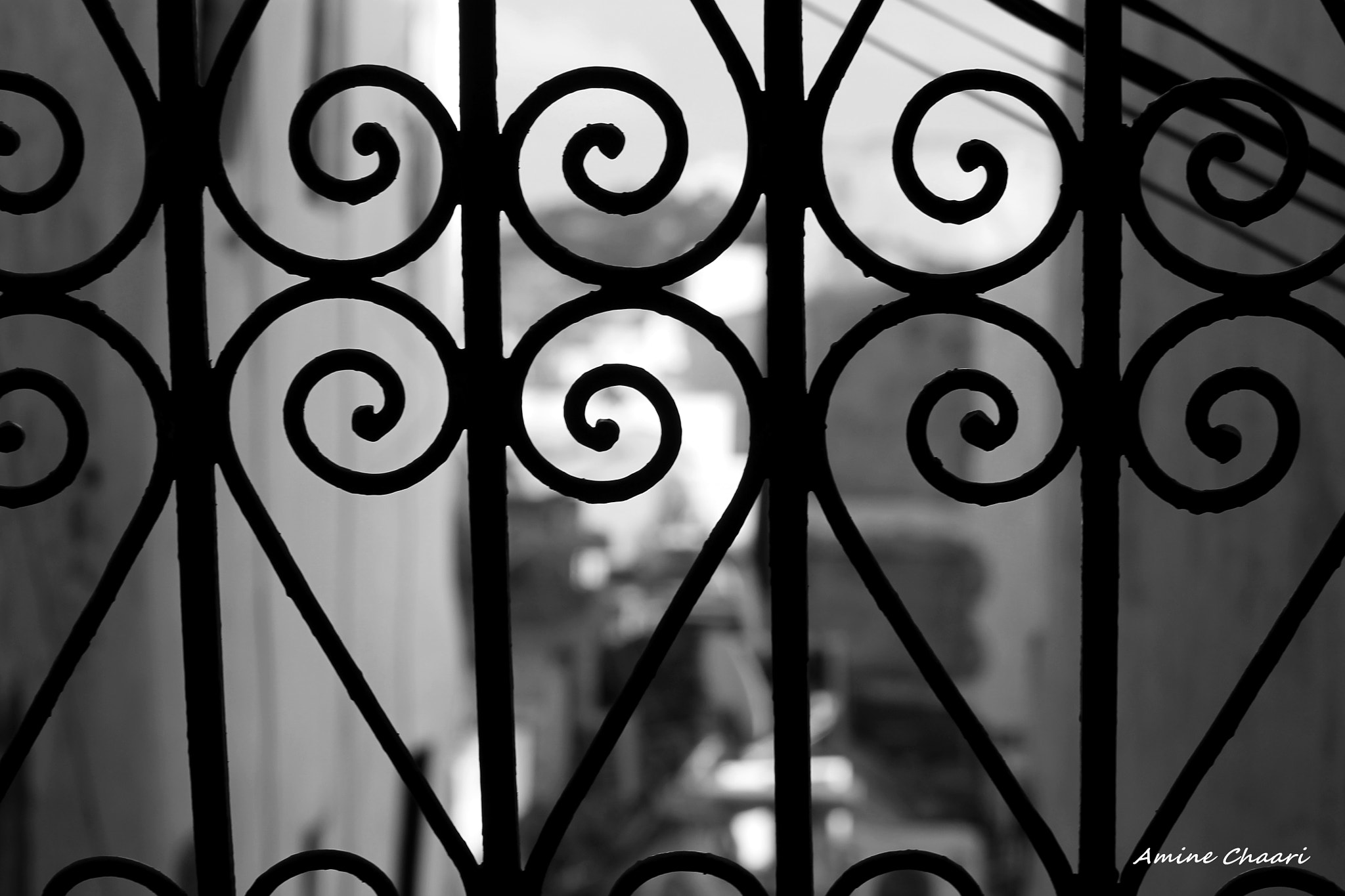 Canon EF 75-300mm f/4-5.6 sample photo. From the window photography