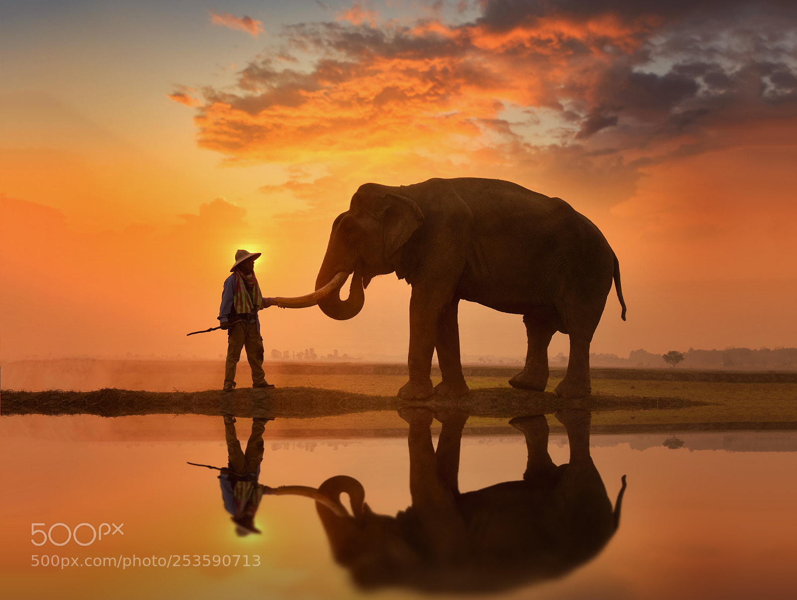 Nikon D4 sample photo. Mahout surin culture,thailand photography