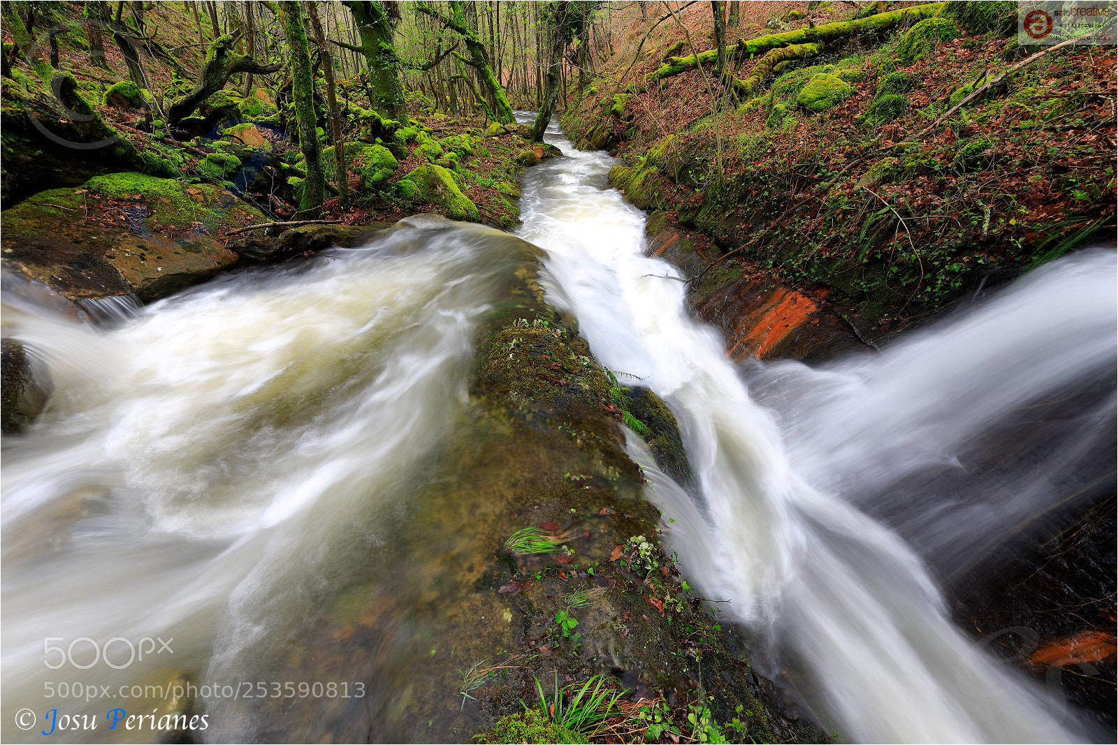 Canon EOS 5D Mark IV sample photo. Las arterias de la photography