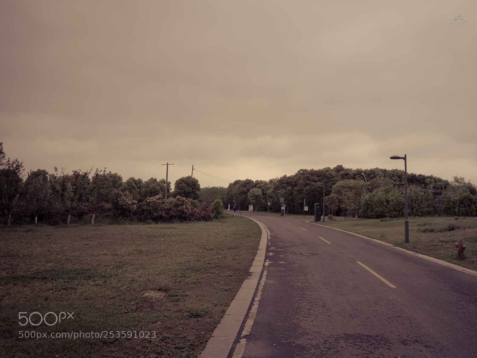 Sony a6000 sample photo. Down photography