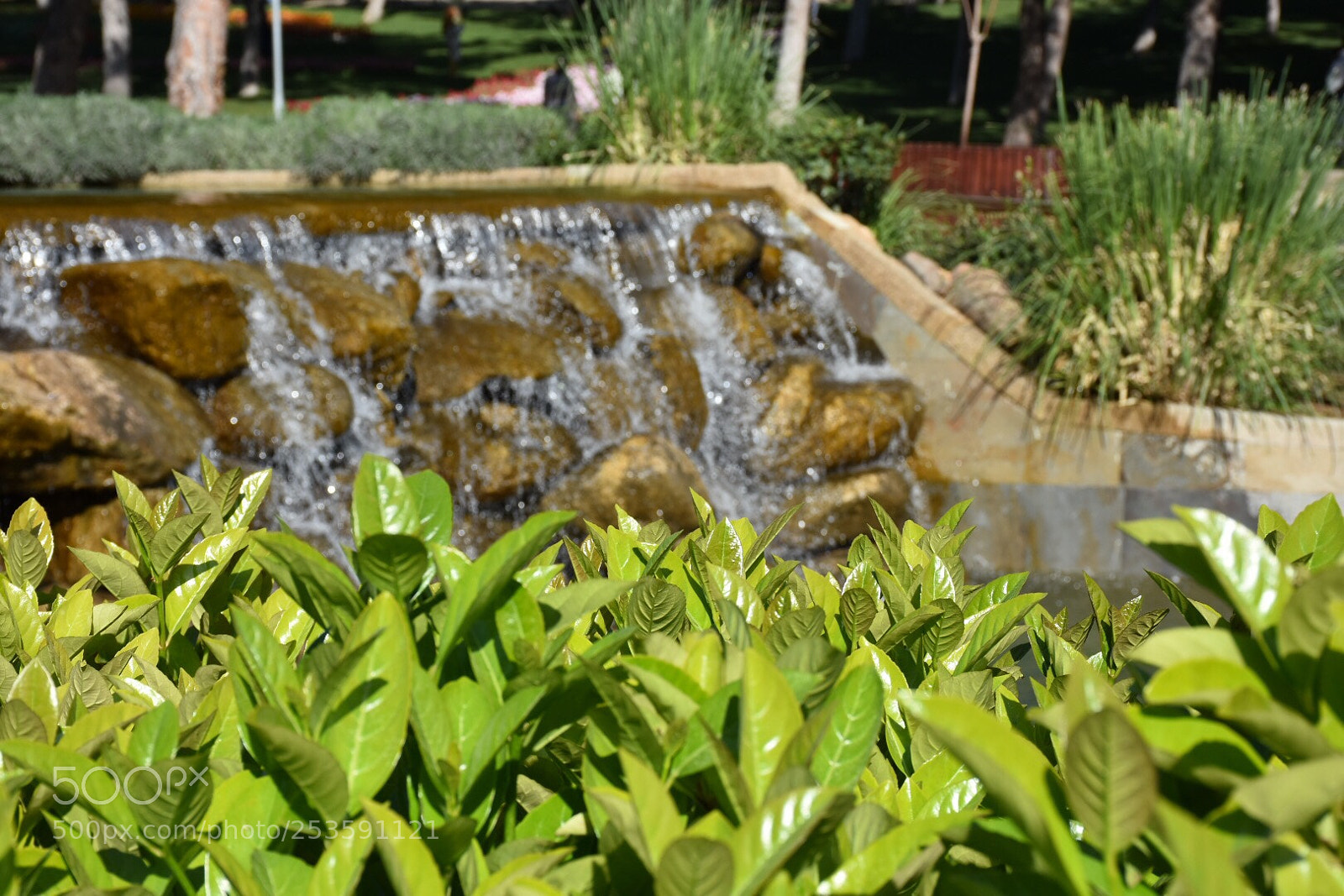 Nikon D7200 sample photo. Spring  photography