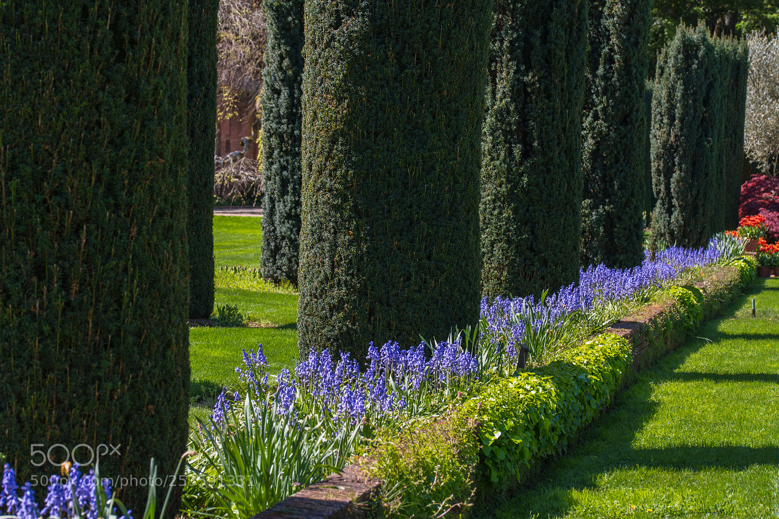 Nikon D850 sample photo. Filoli gardens photography
