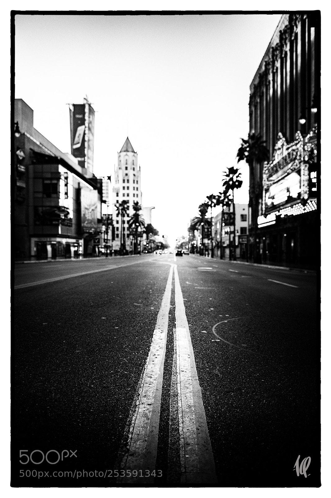 Nikon D5 sample photo. Hollywood boulevard photography