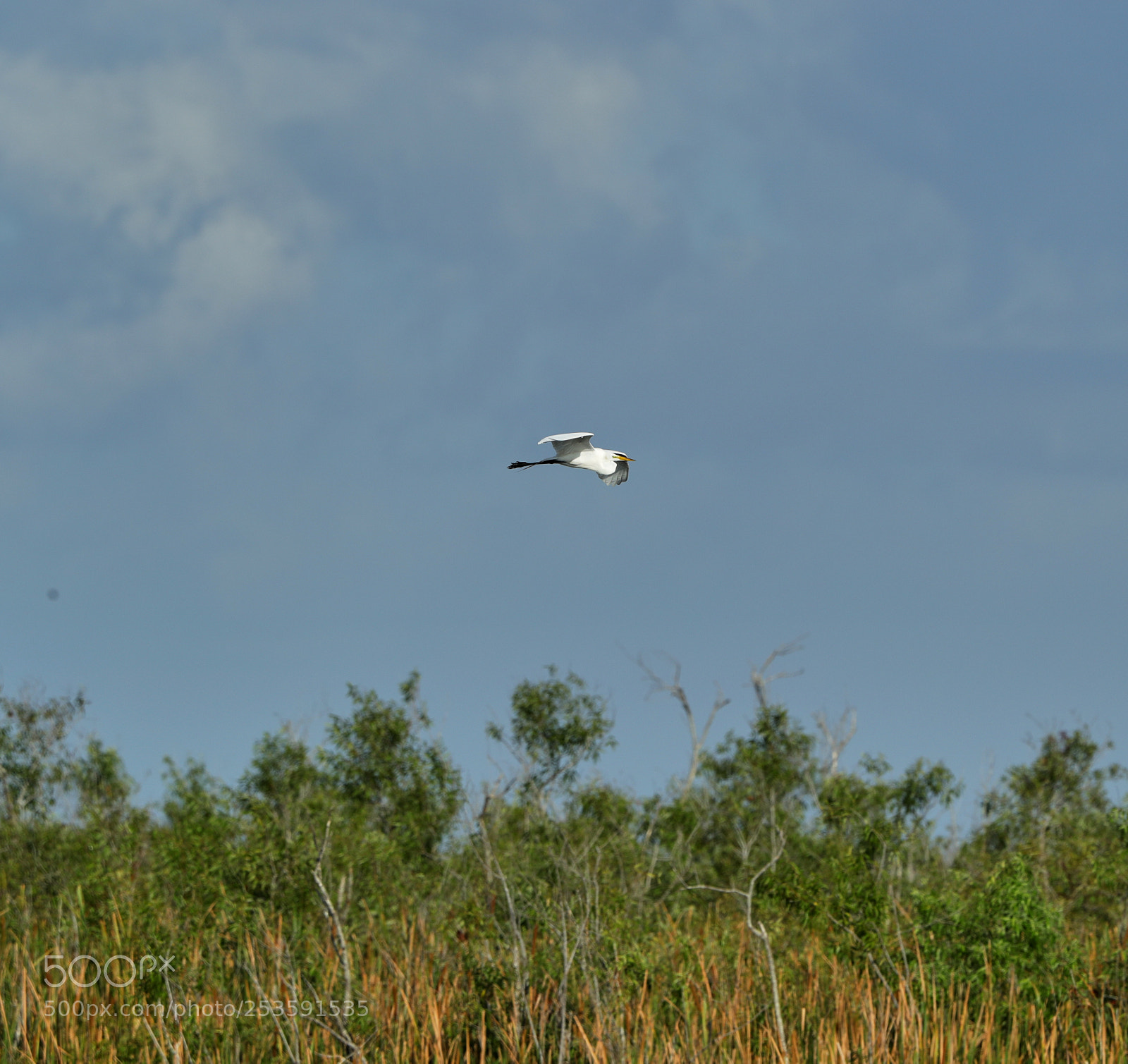 Canon EOS-1D X Mark II sample photo. 04-14-18-0012519.jpg photography