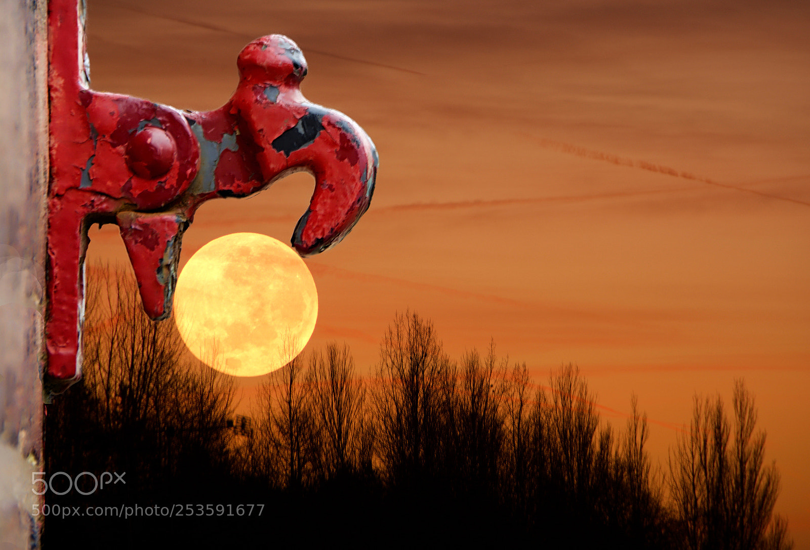 Nikon D7100 sample photo. Hooked moonlight photography