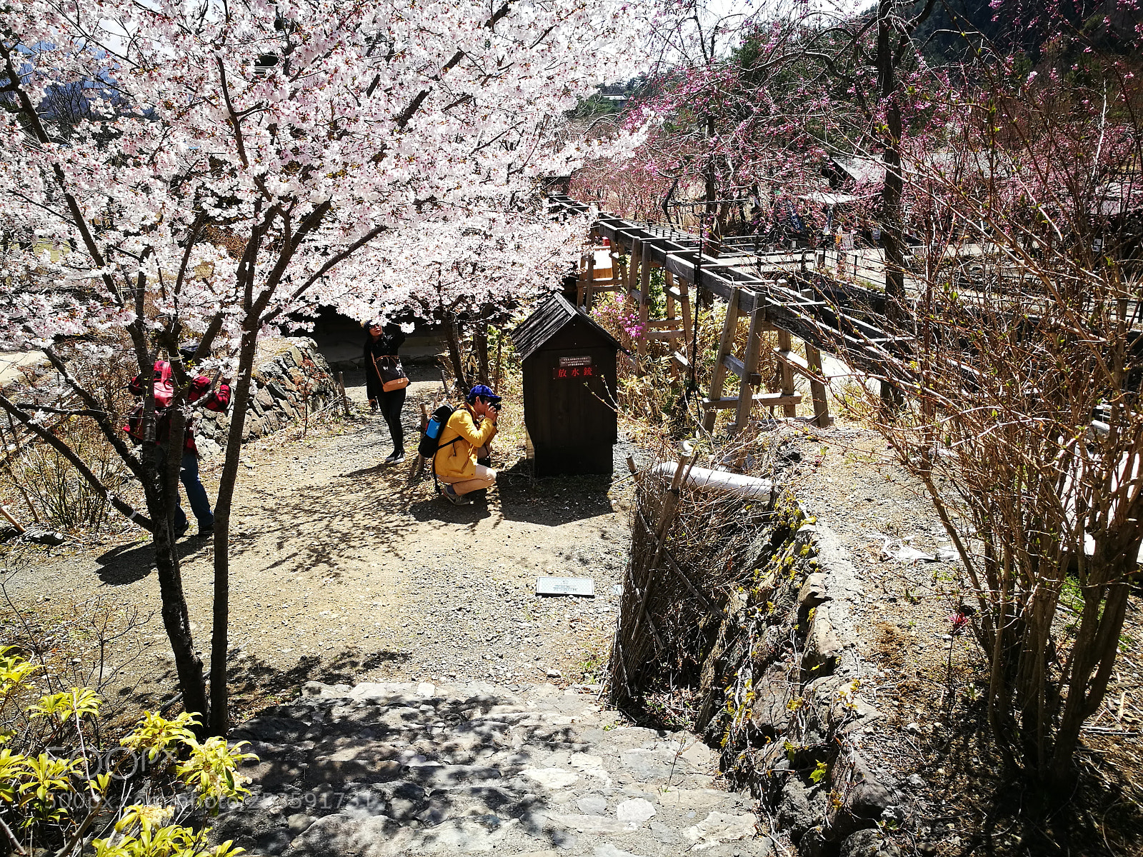 HUAWEI P9 sample photo. Mountain village photography