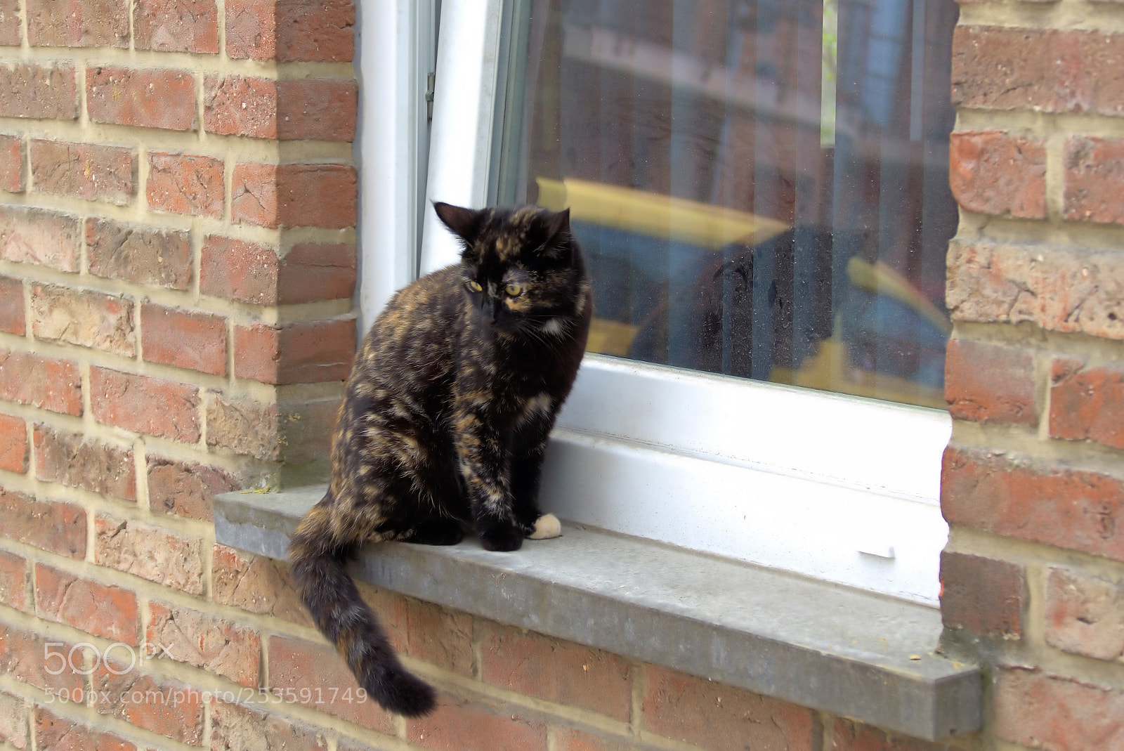 Panasonic Lumix DMC-FZ1000 sample photo. () photography