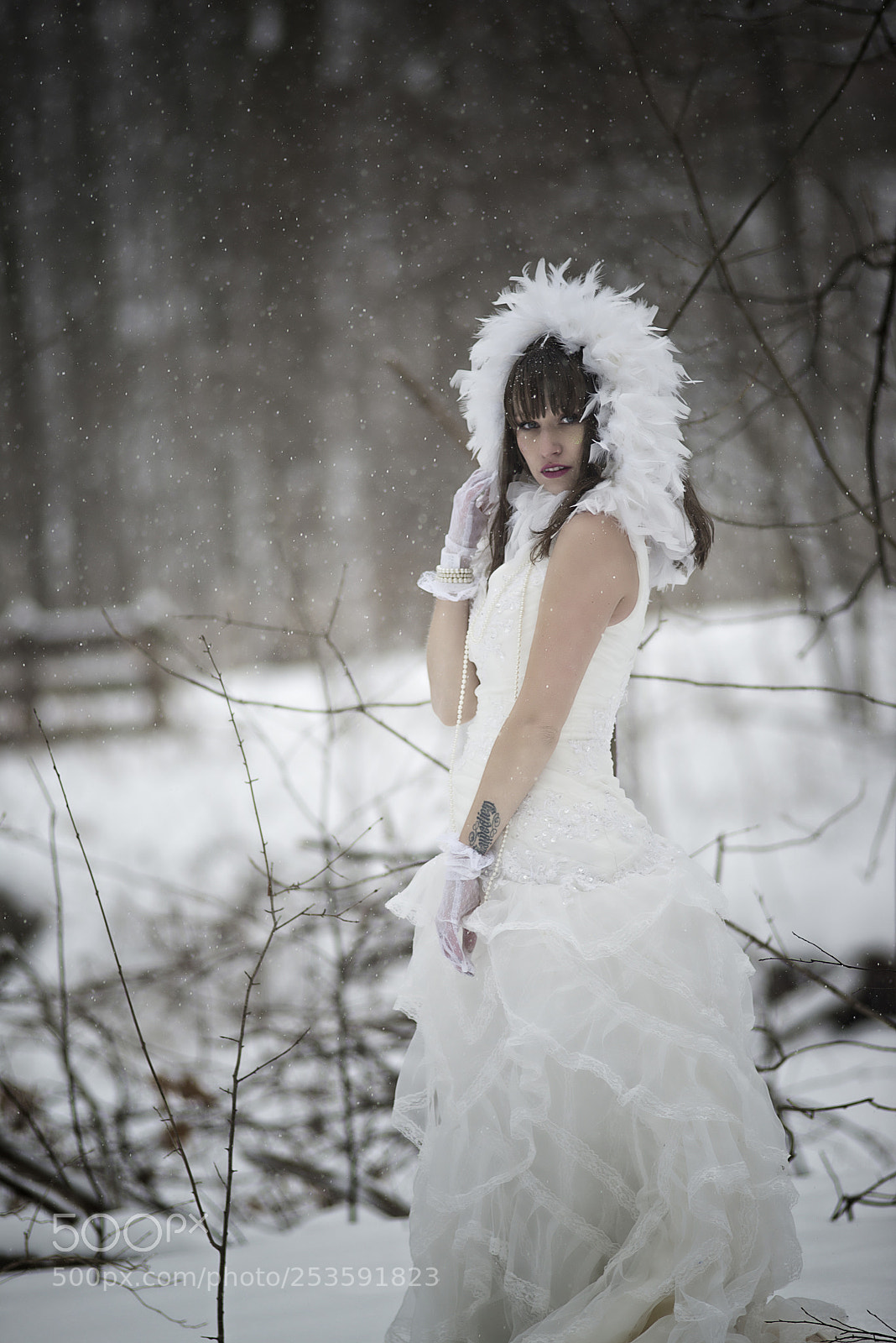 Nikon D610 sample photo. Untitled photography