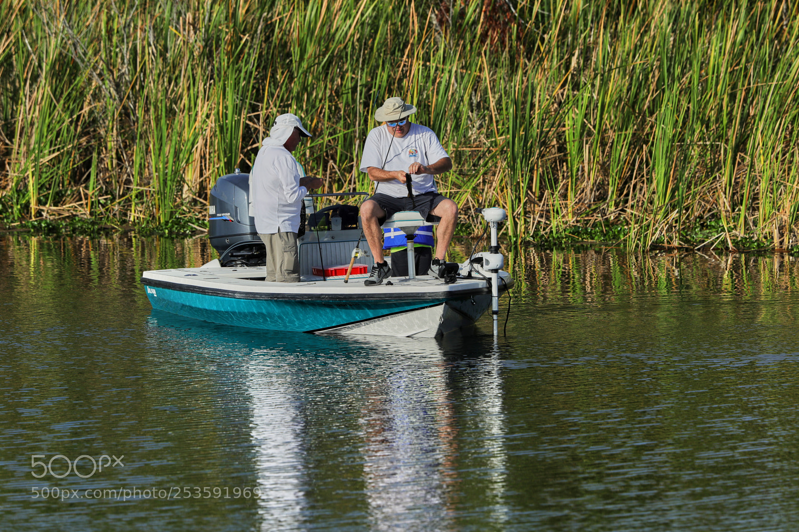 Canon EOS-1D X Mark II sample photo. 04-14-18-0012479.jpg photography
