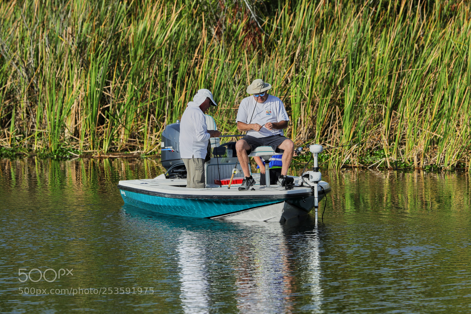 Canon EOS-1D X Mark II sample photo. 04-14-18-0012477.jpg photography
