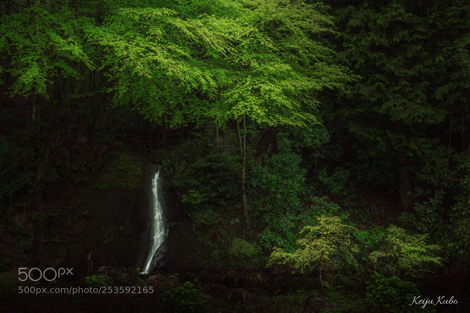 Sony a7R III sample photo. Little waterfall photography