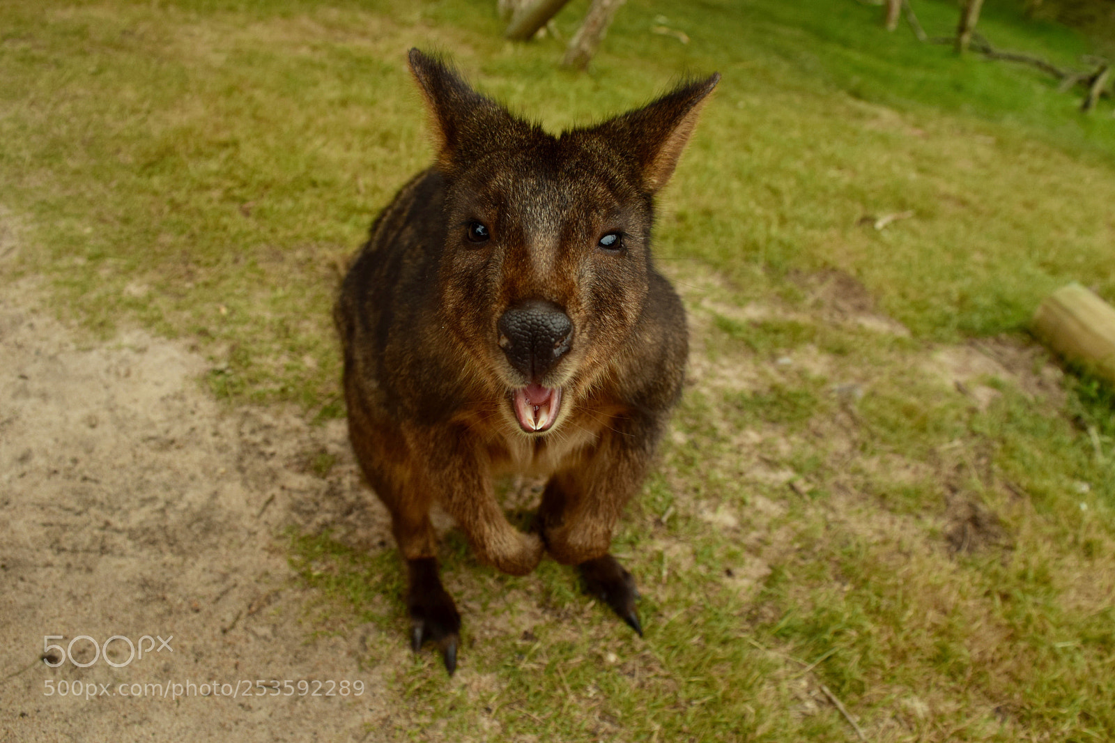 Nikon D5300 sample photo. Rocko's modern life photography