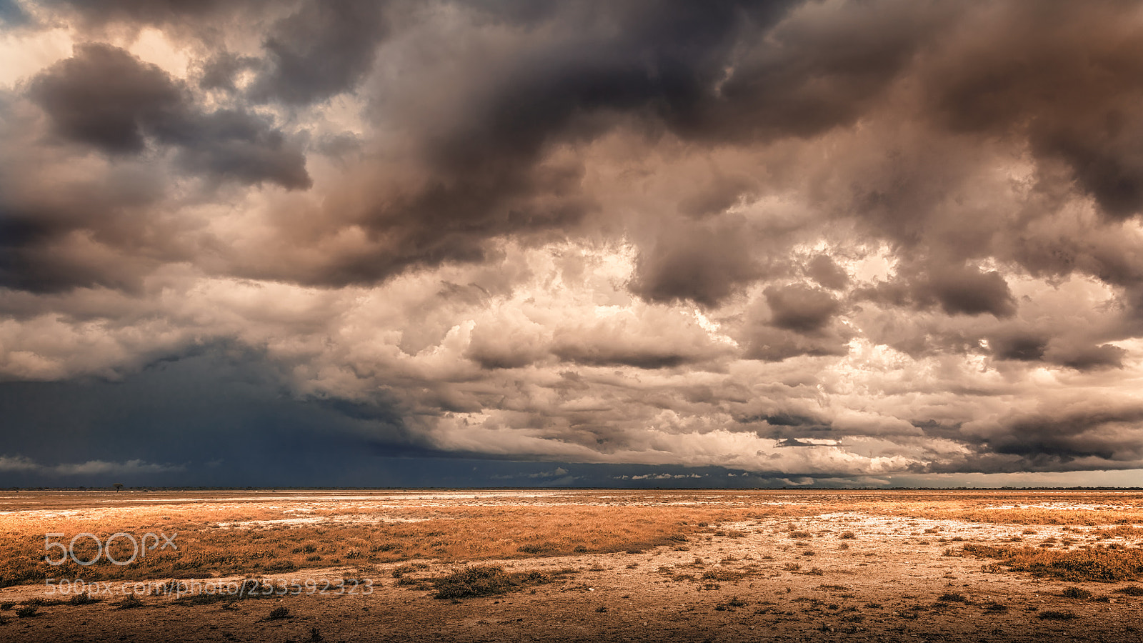 Canon EOS 5DS R sample photo. Etosha rainy season photography