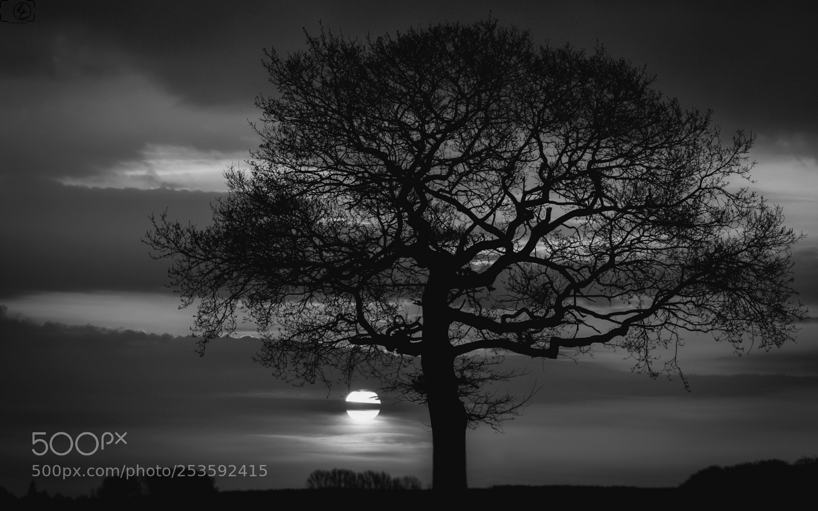 Canon EOS 70D sample photo. Tree and sun (bw) photography