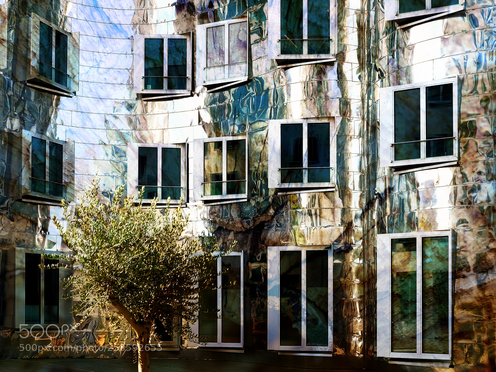 Nikon D5300 sample photo. 0045-5195-gehry photography