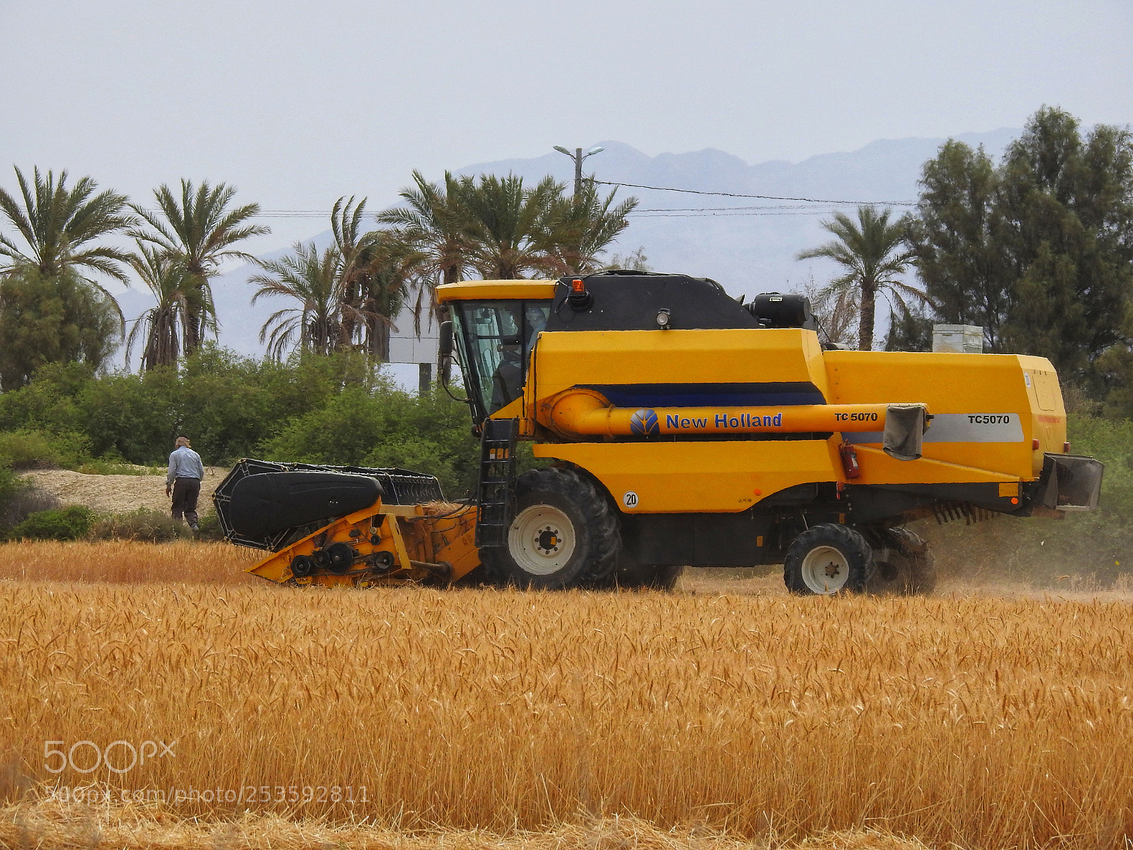 Nikon Coolpix P900 sample photo. Wheat harvest photography