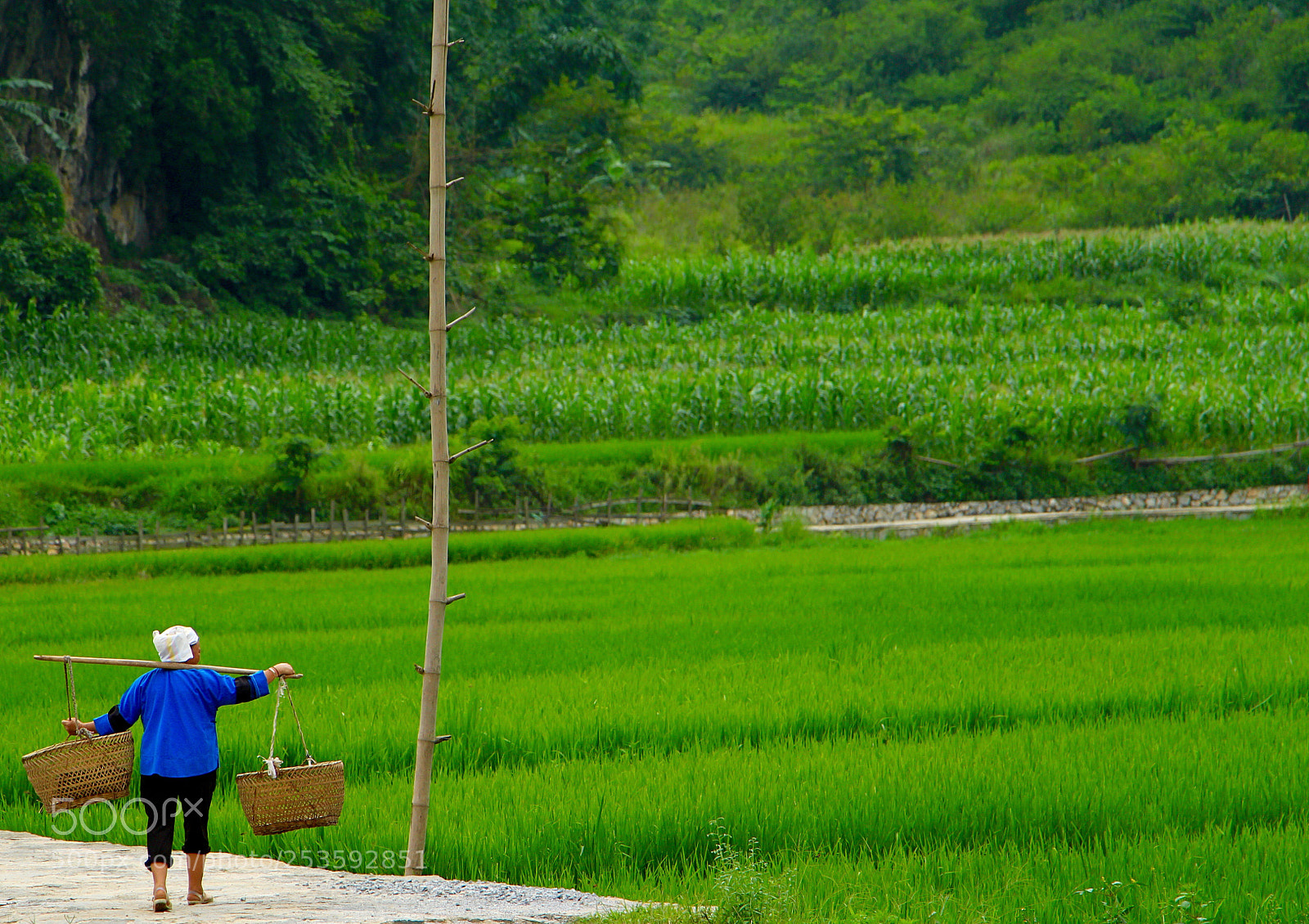 Canon EOS 700D (EOS Rebel T5i / EOS Kiss X7i) sample photo. () photography