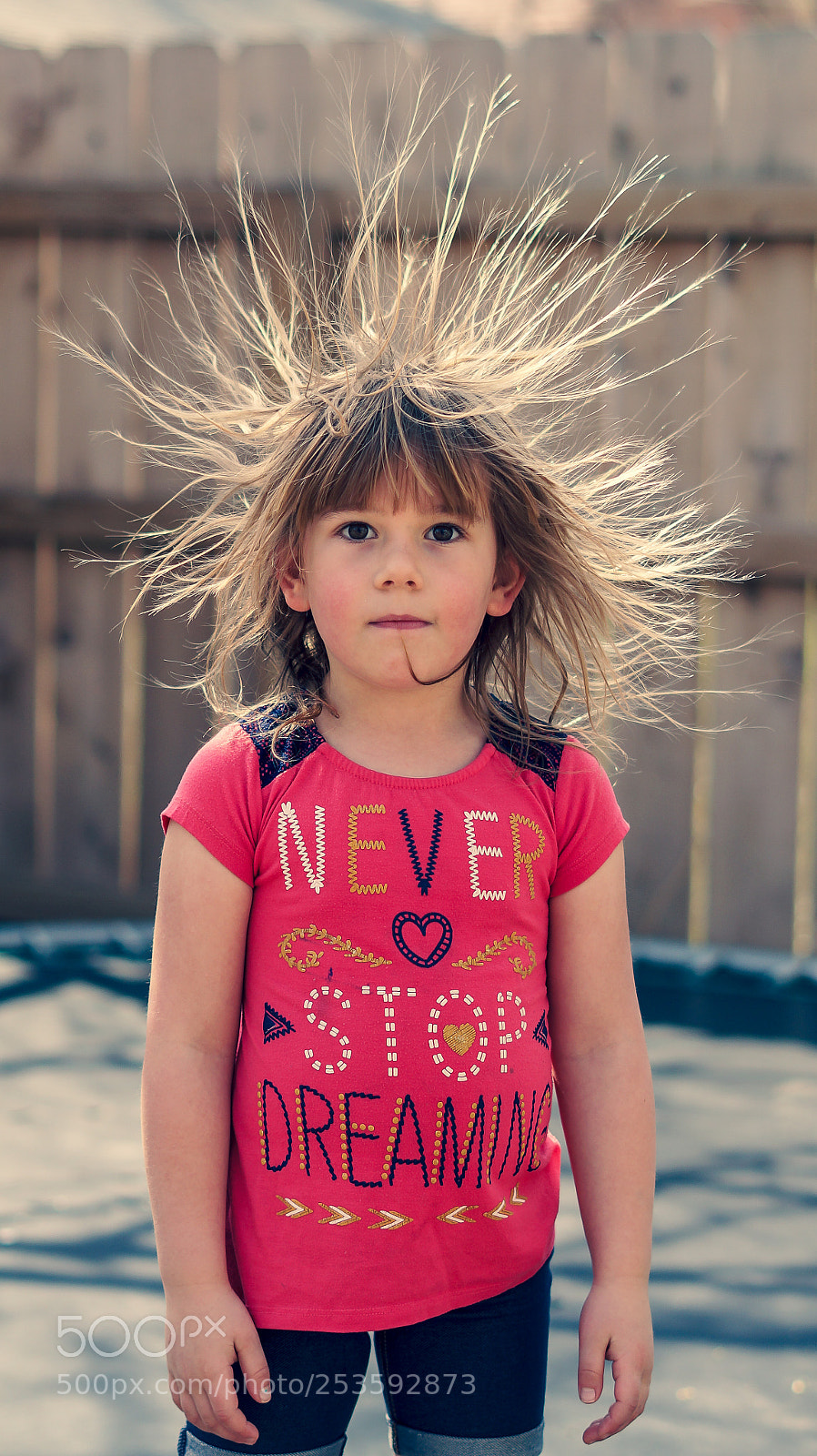 Sony Alpha a3000 sample photo. Trampoline static photography