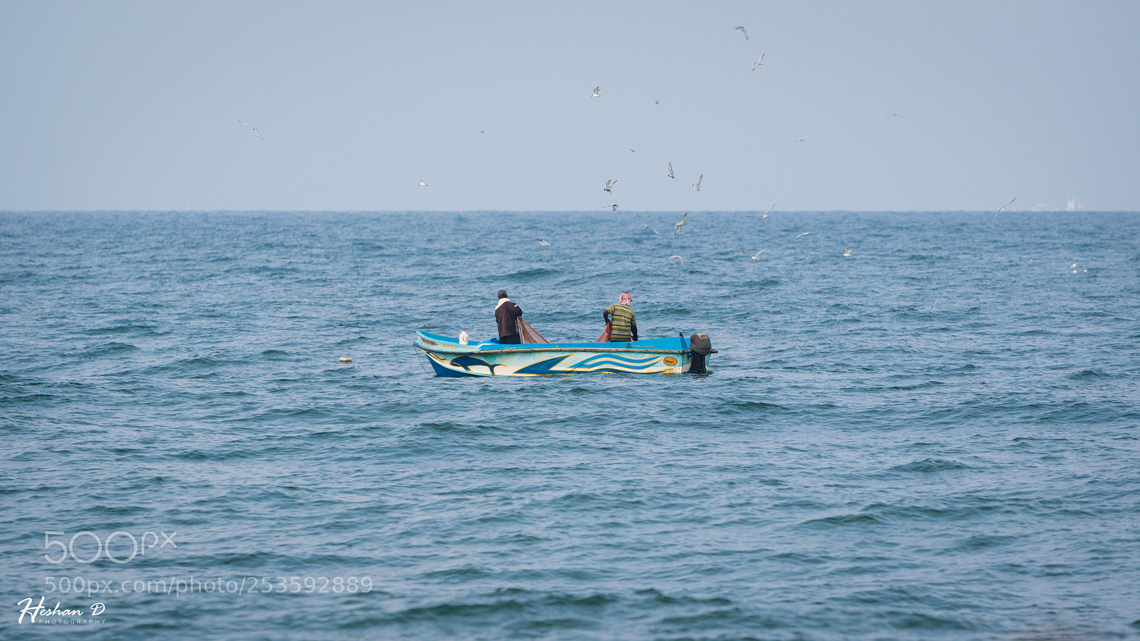 Nikon D5300 sample photo. Blue photography