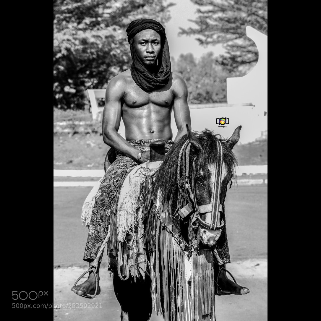 Canon EOS 7D Mark II sample photo. Untitled photography
