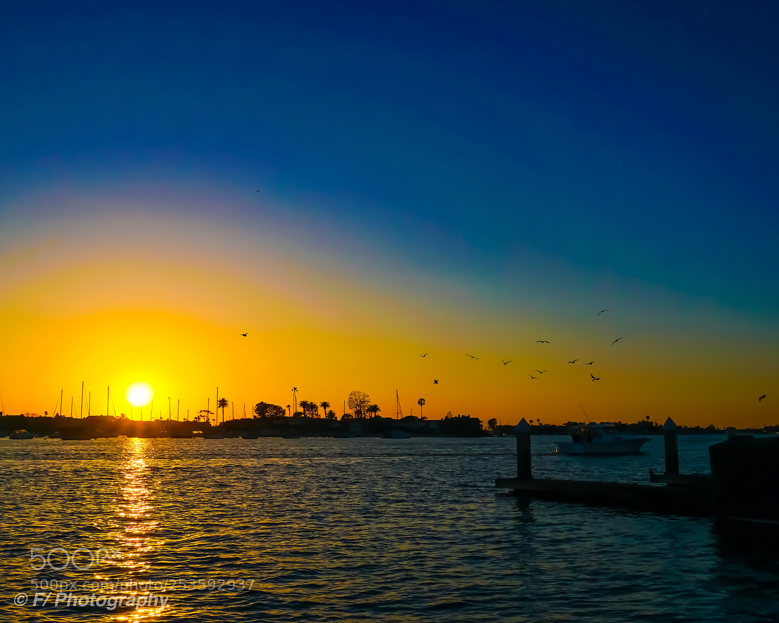 Sony a6300 sample photo. Birds flyin’ high photography