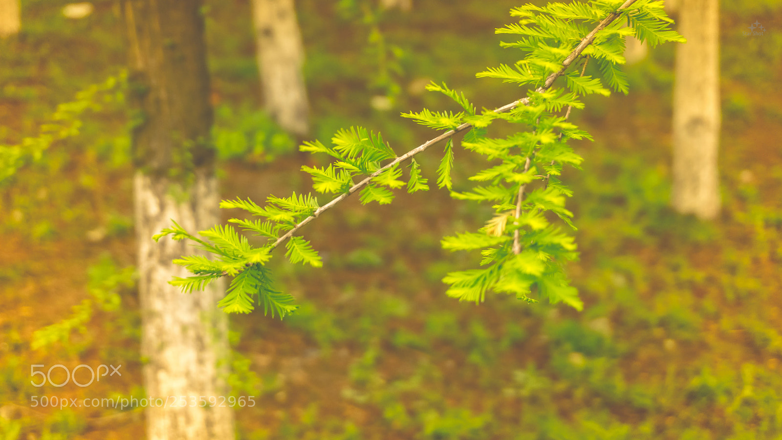 Sony a6000 sample photo. Untitled photography
