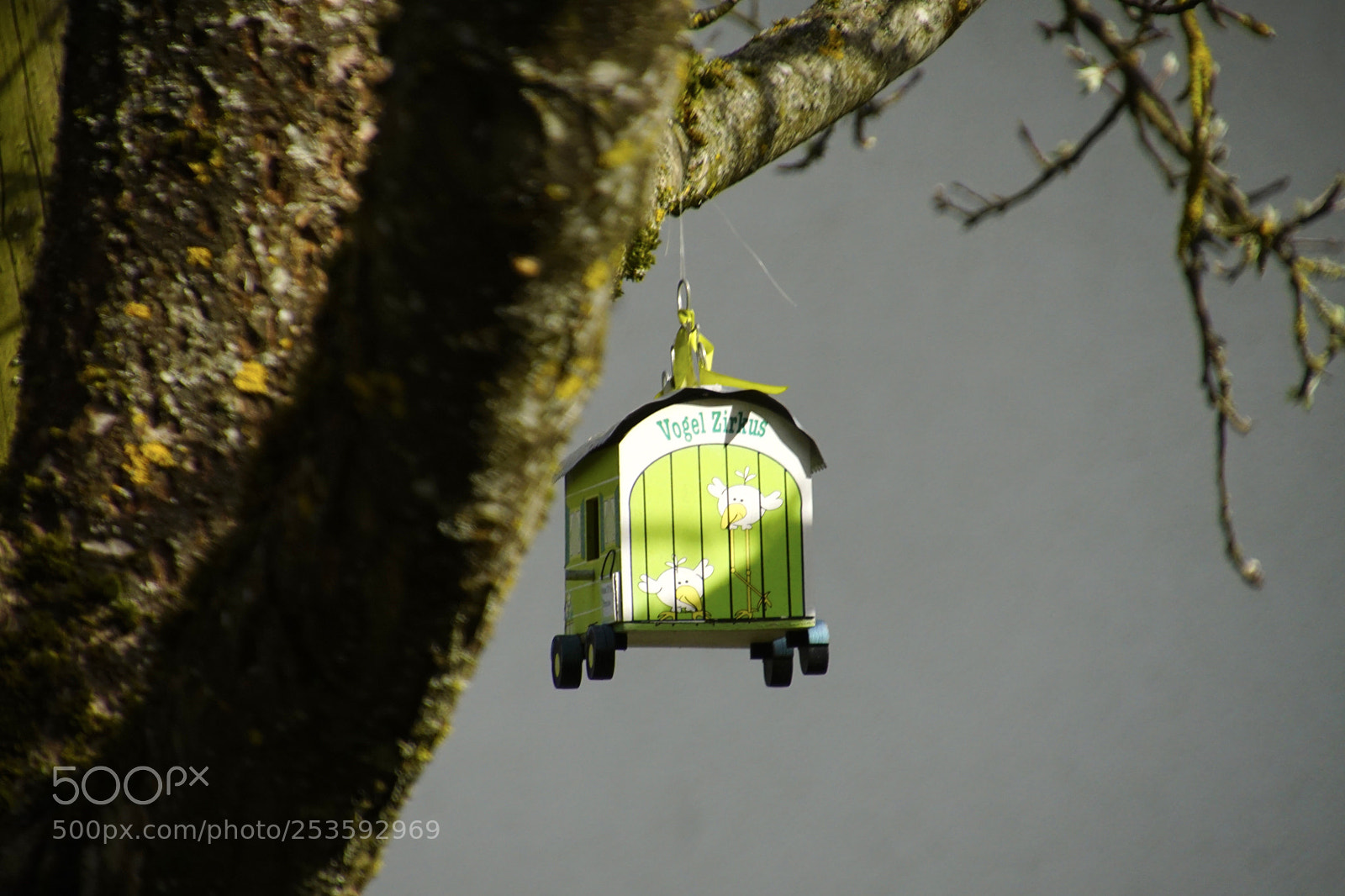 Sony ILCA-77M2 sample photo. Untitled photography
