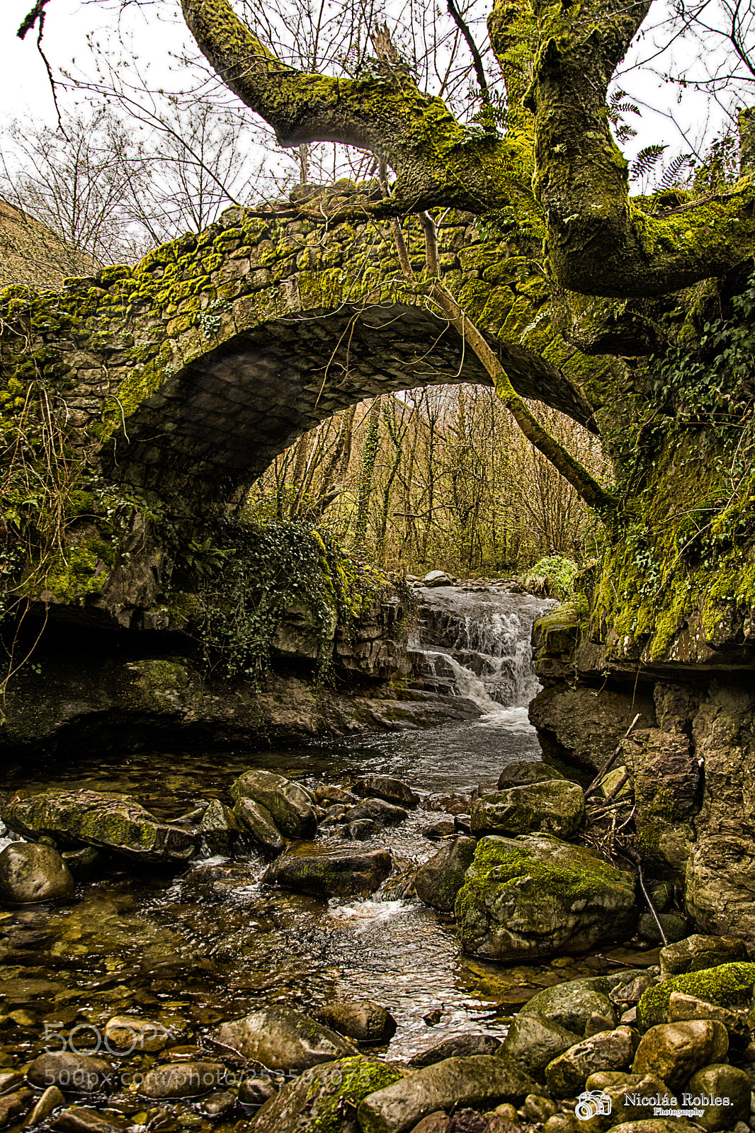 Nikon D7100 sample photo. Bridge over mobile photography