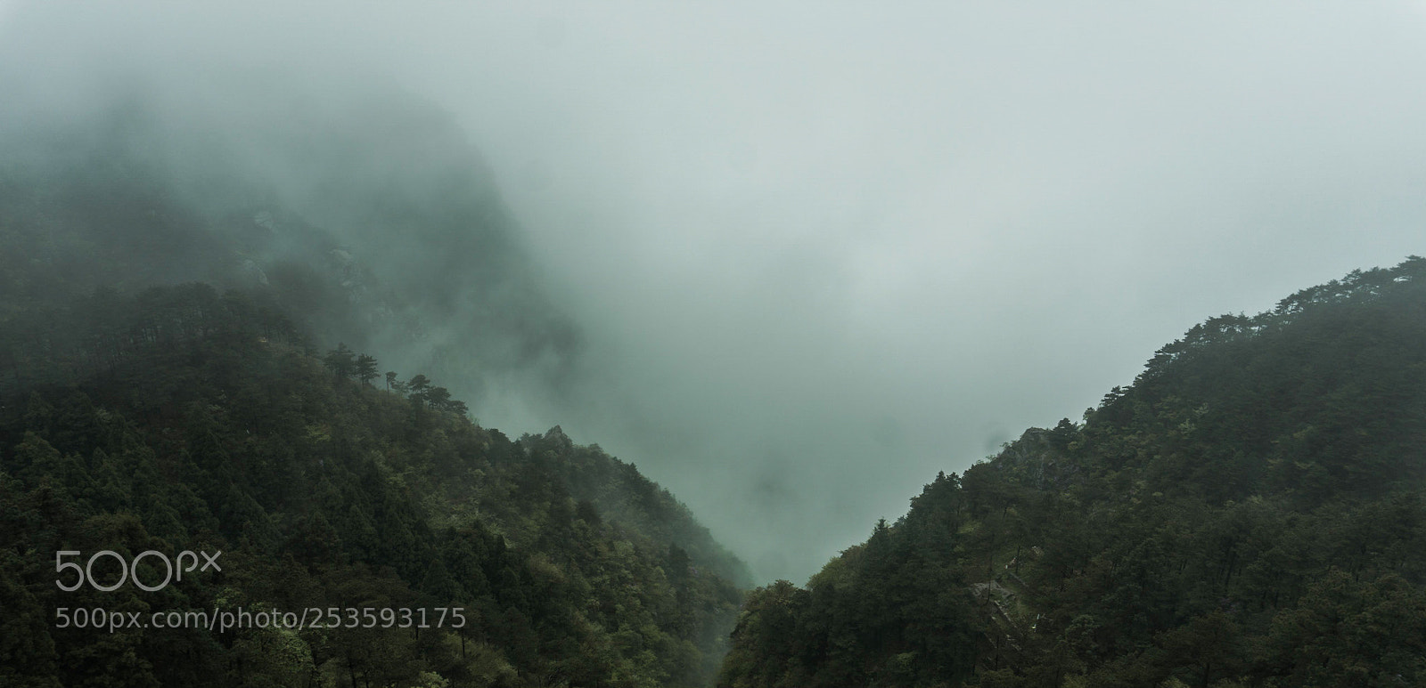 Sony a6000 sample photo. Untitled photography