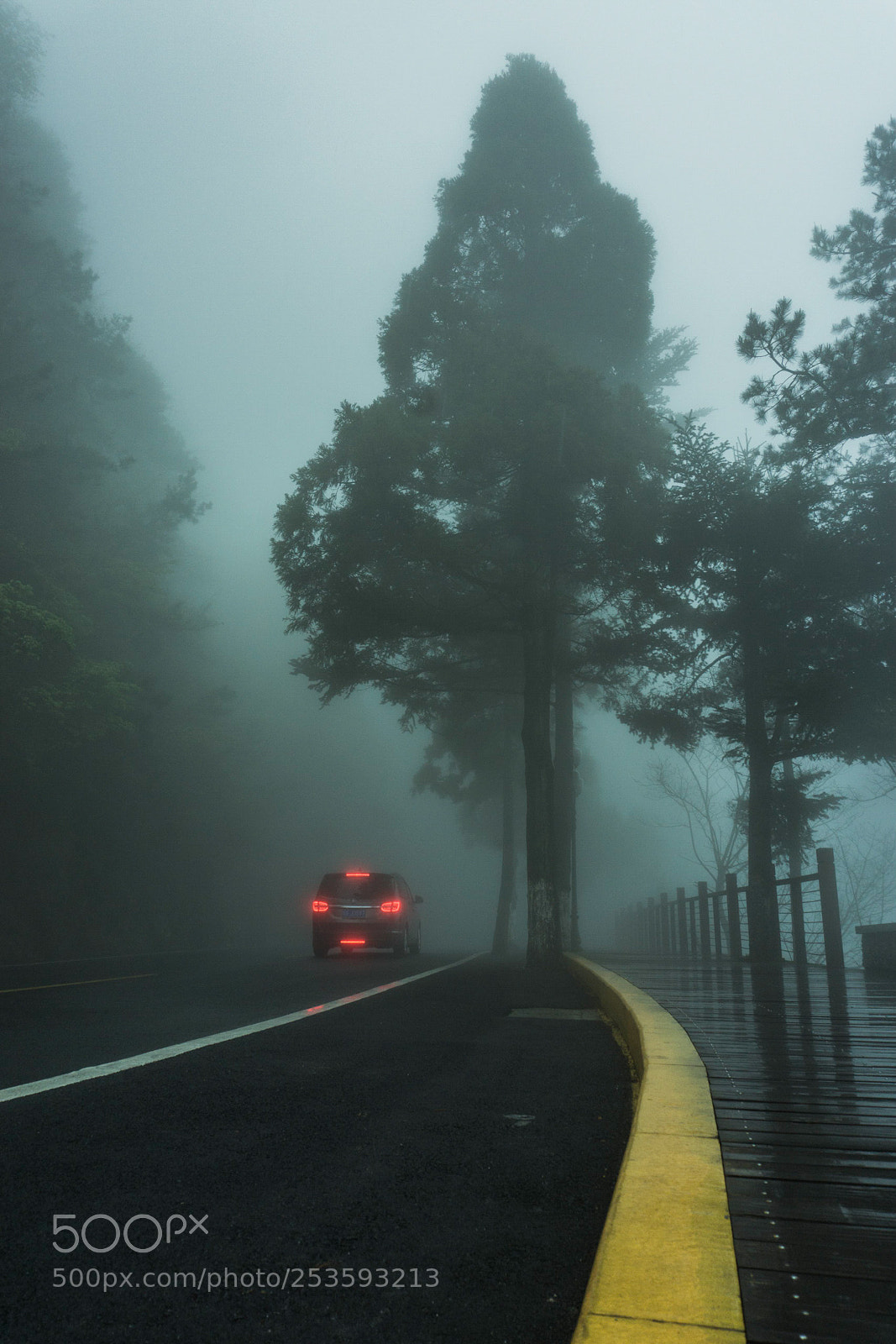 Sony a6000 sample photo. Untitled photography