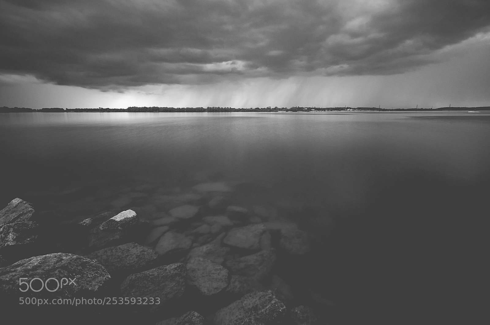 Nikon D5000 sample photo. Bw photography
