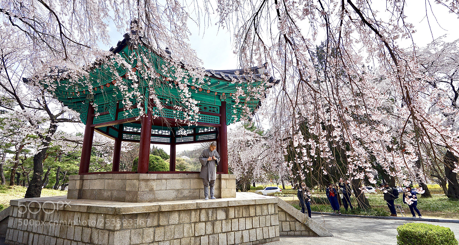 Sony a7 II sample photo. Spring photography
