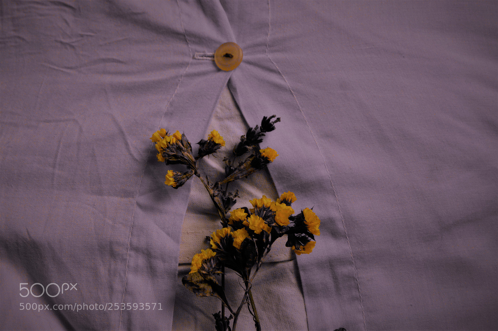 Nikon D3200 sample photo. I want to change photography