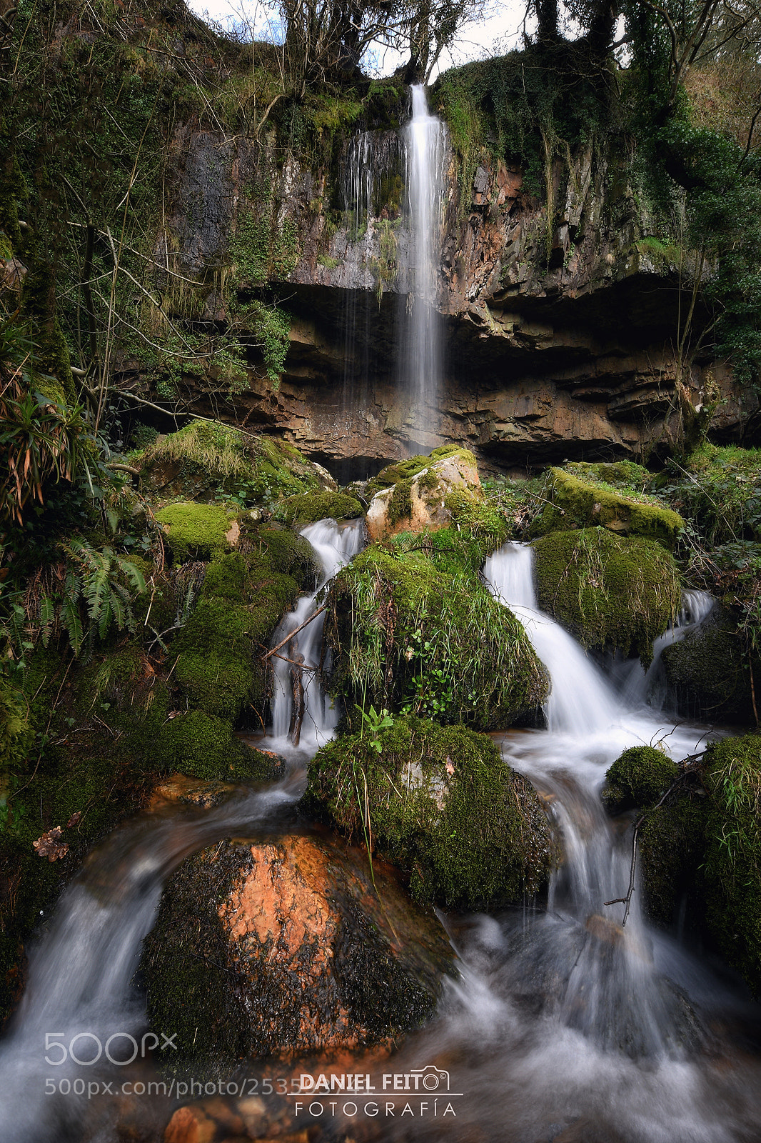 Nikon D500 sample photo. Pimpano photography