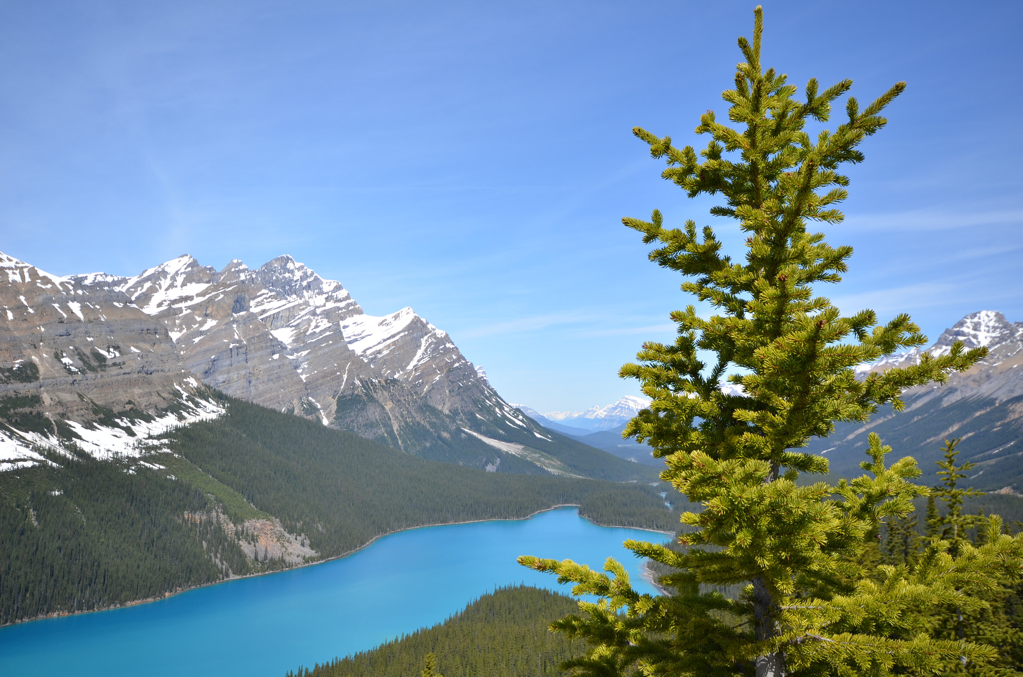 Nikon D7000 + Sigma 10-20mm F4-5.6 EX DC HSM sample photo. Peyto lake photography