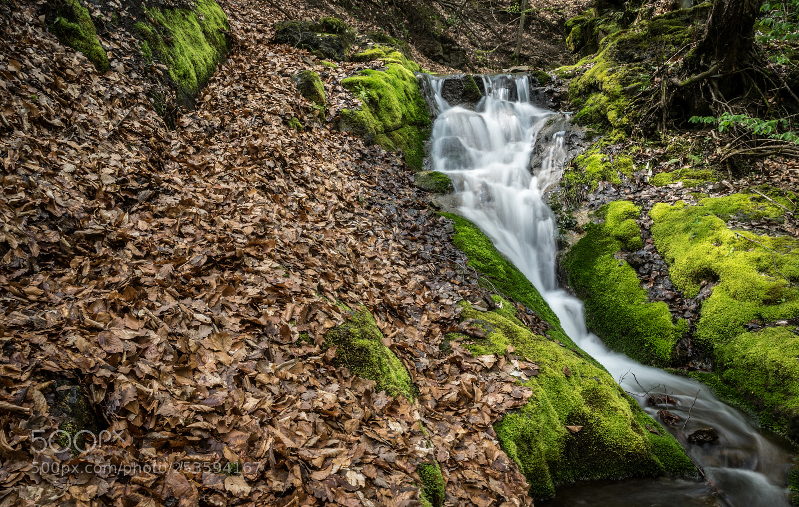 Nikon D5300 sample photo. Borzesti gorge photography