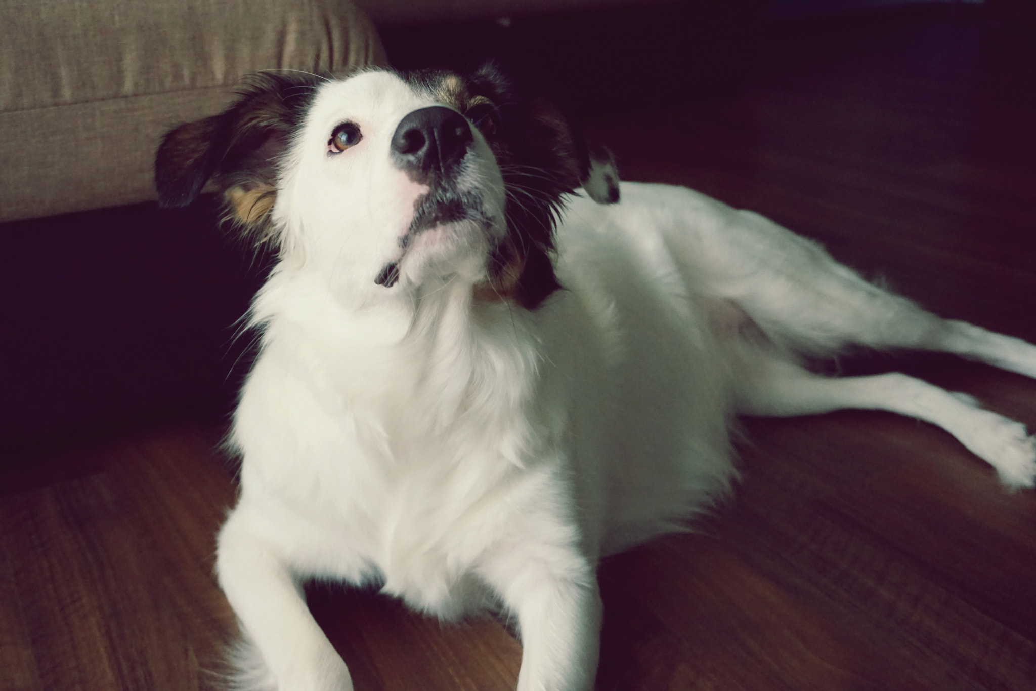 Sony E 18-50mm F4-5.6 sample photo. Curiosity photography