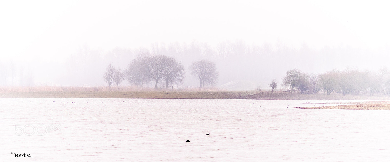 Nikon D500 sample photo. Early morning.  photography