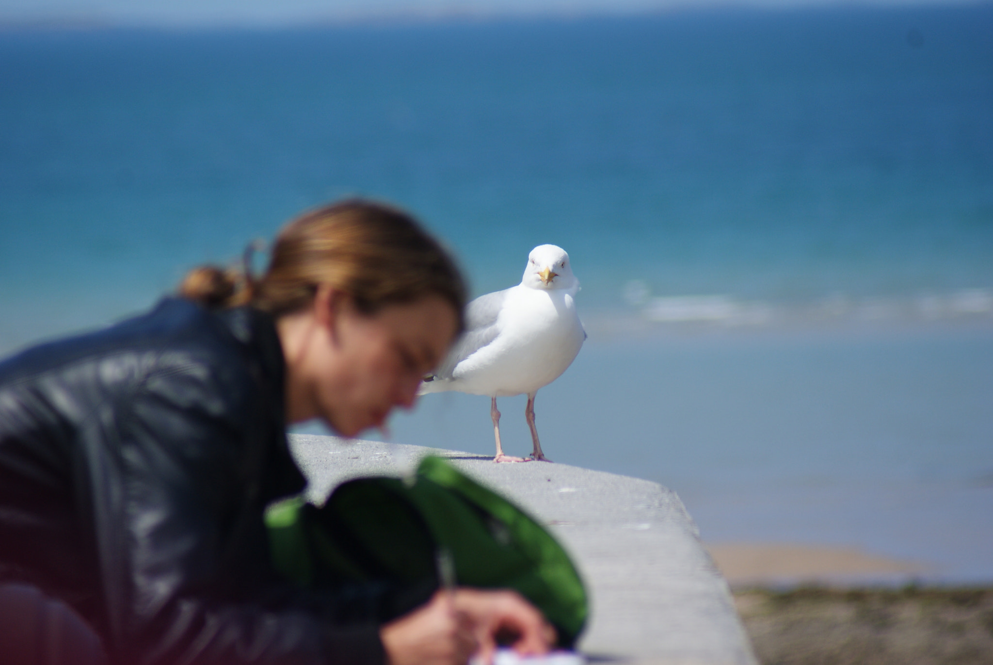 Sony 75-300mm F4.5-5.6 sample photo. J'attends... photography