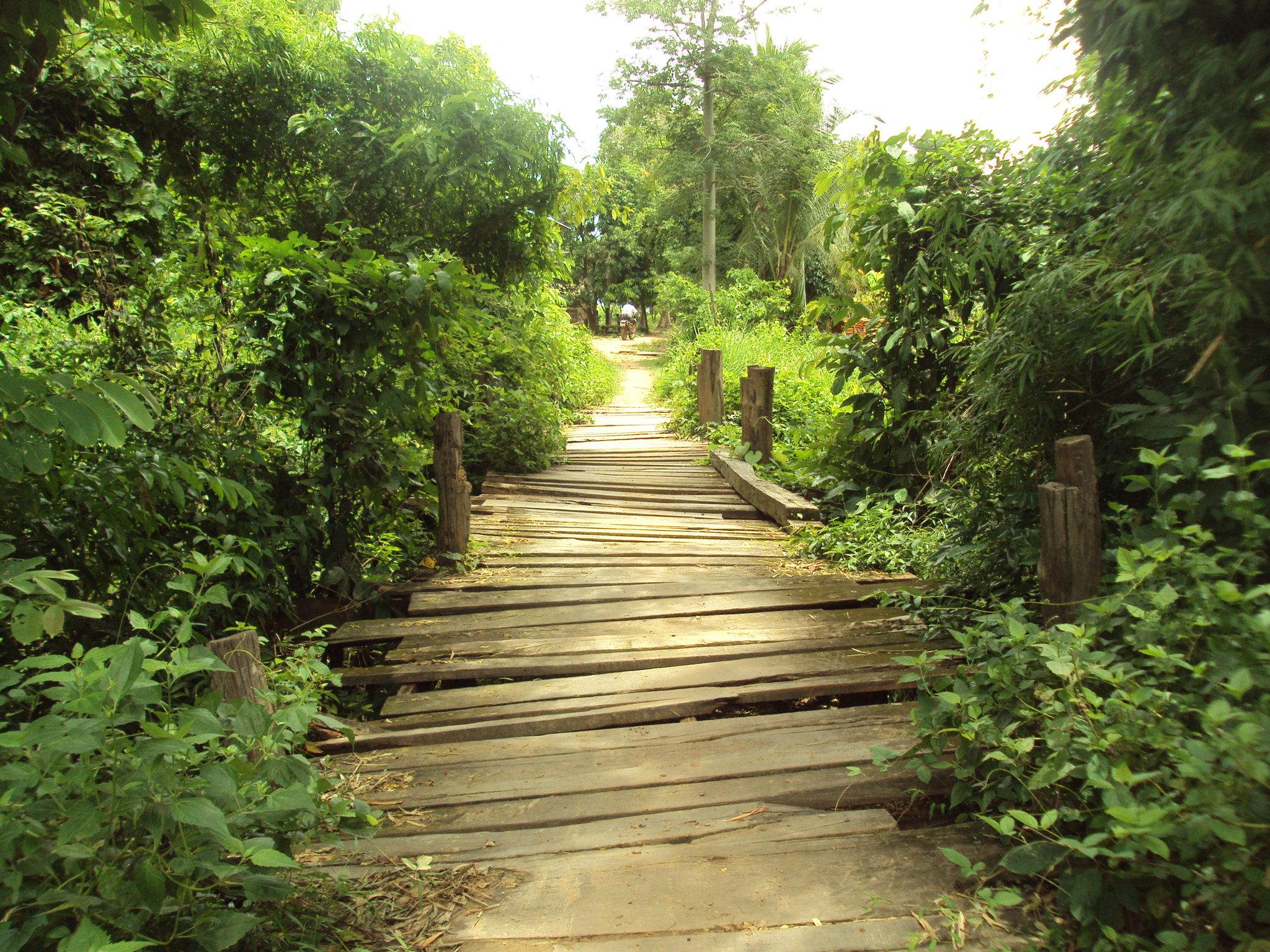 Sony DSC-S980 sample photo. On the road to kratié,  cambodia photography